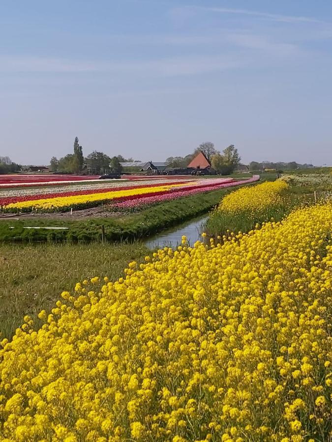 Bed and Breakfast Achterom 7 Hoorn  Esterno foto